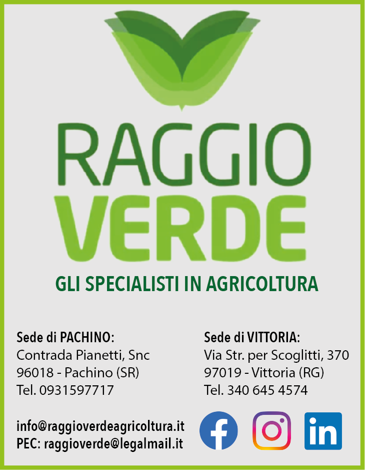 Raggio Verde box verticale agricoltura