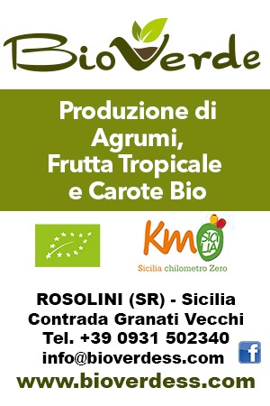 Bio verde box verticale agricoltura