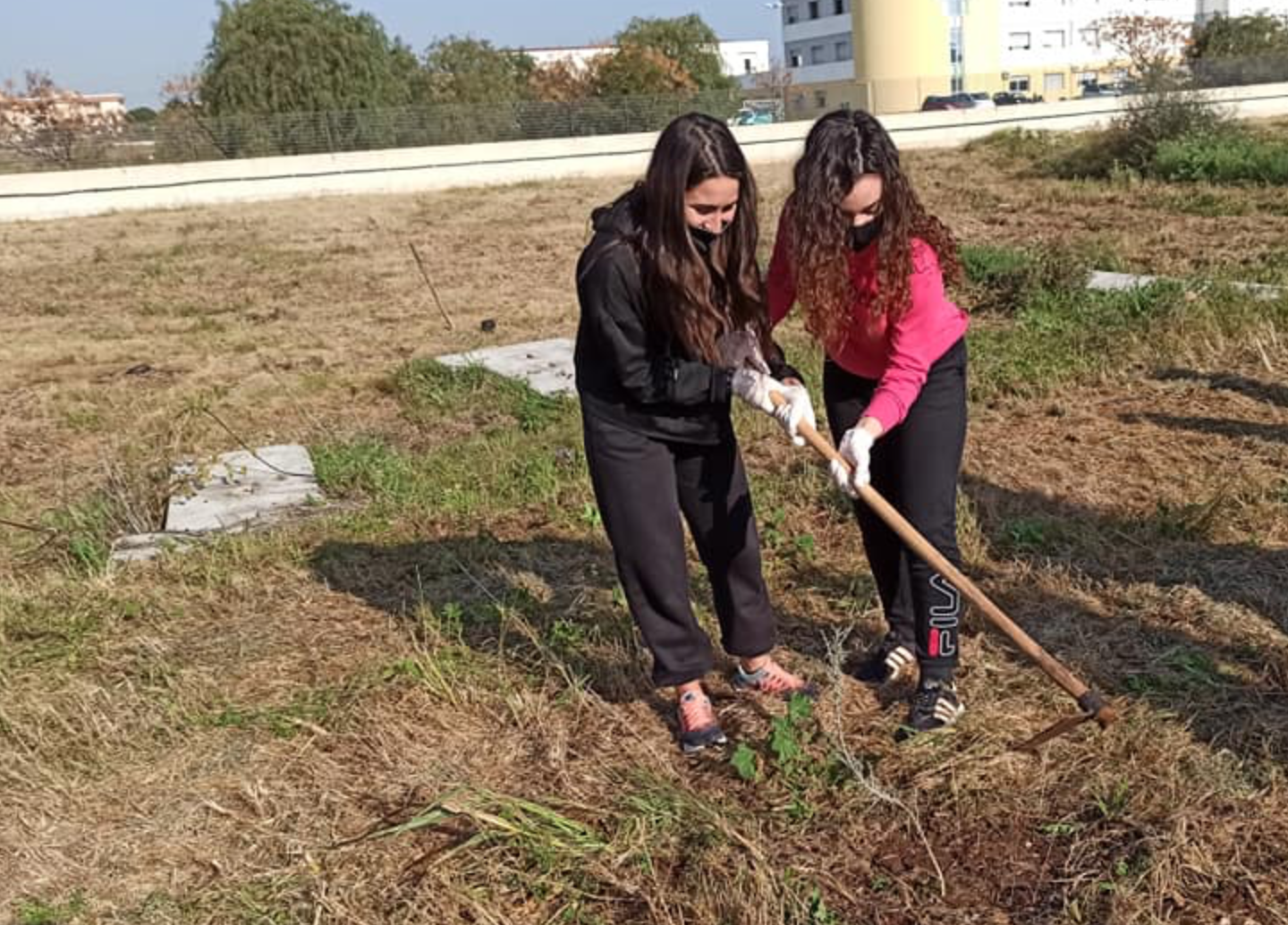 Siracusa, gli studenti dell'Einaudi mettono a dimora duecento piante