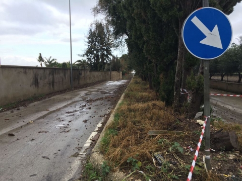 Risultato immagini per CONTRADA ISOLA SIRACUSA